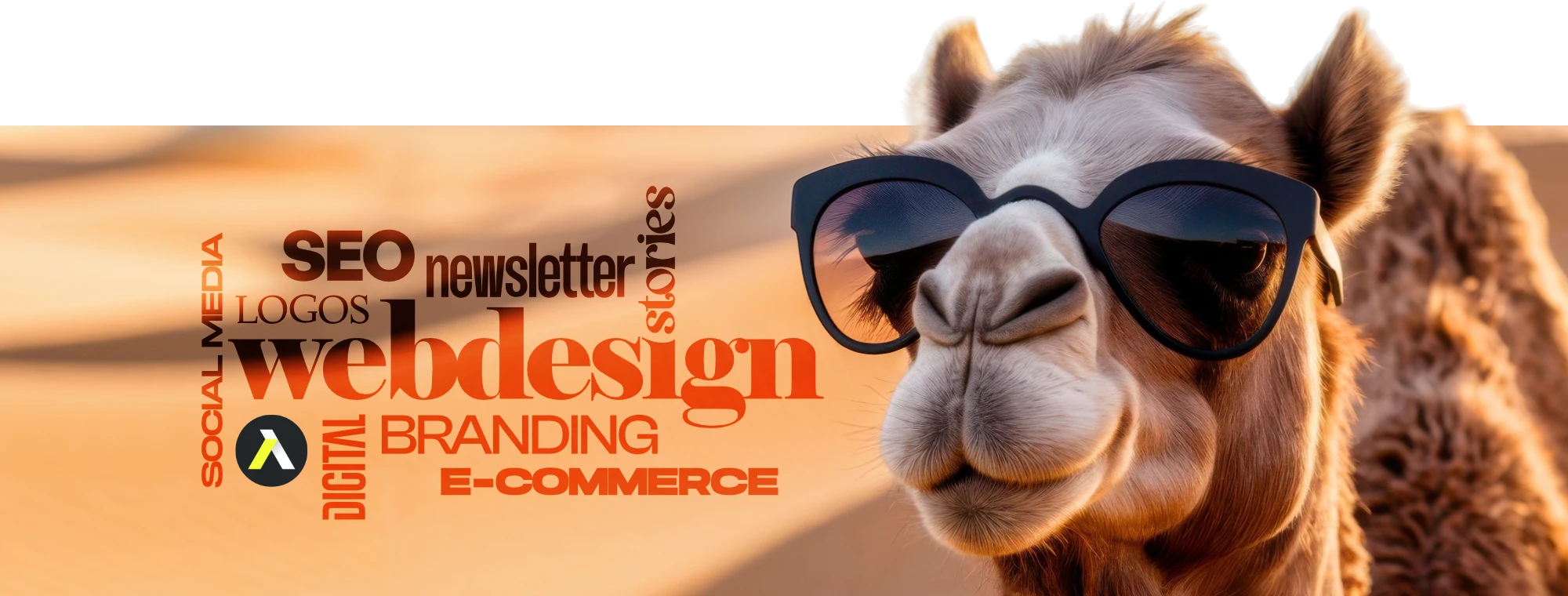 ALT Design | Somos una agencia creativa de diseño web y branding ubicada en León, Guanajuato. Creamos identidades visuales, sitios web y contenido digital para tu negocio.